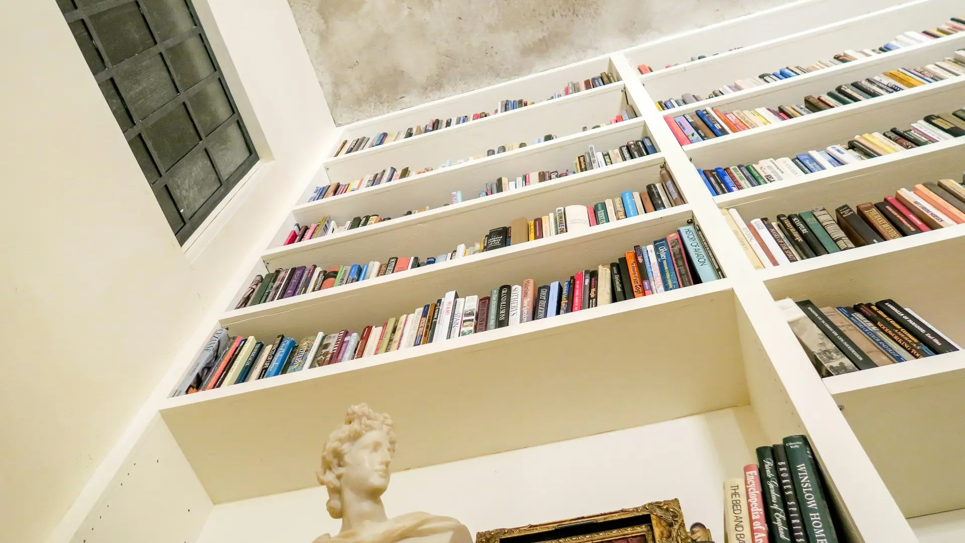low angle photo of assorted book on bookshelf