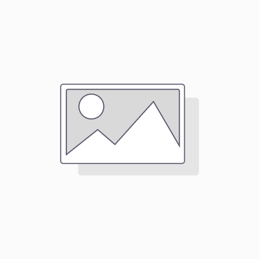 SEO Audit